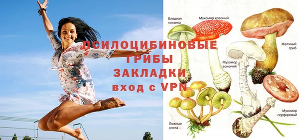прущие крисы Нефтекумск