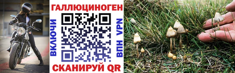 купить наркотик  Люберцы  Псилоцибиновые грибы прущие грибы 