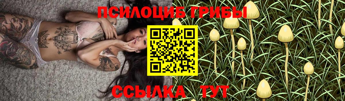 Псилоцибиновые грибы Magic Shrooms  Вход с VPN  Псилоцибиновые грибы GOLDEN TEACHER  Люберцы 
